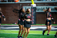 LR24 FB2 Spirit Team-108