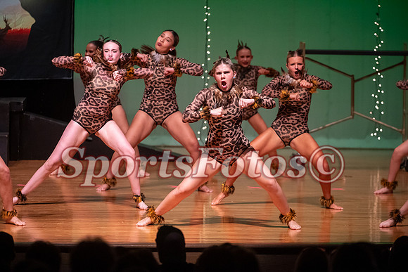 Lion King-107