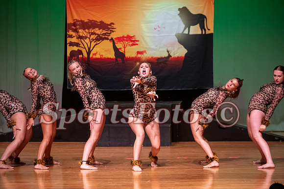 Lion King-118