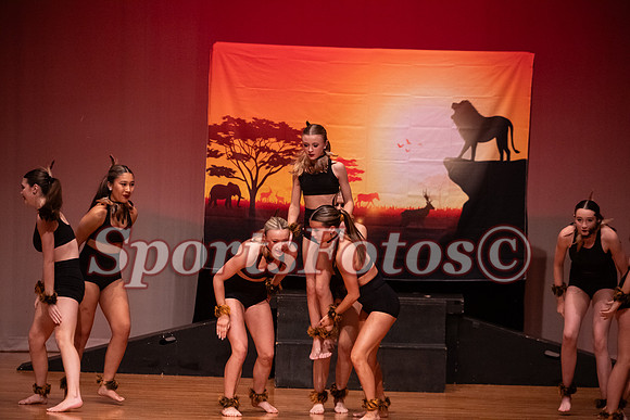 Lion King-104