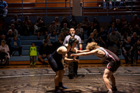 FTF Wrestling 3 vs Hibriten-115