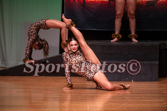 Lion King-100