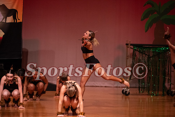 Lion King-106