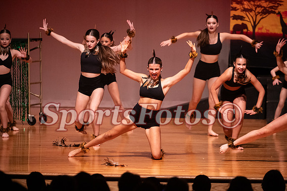 Lion King-111