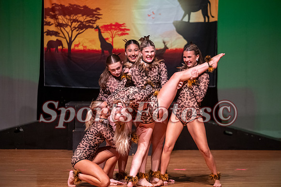 Lion King-114