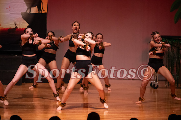 Lion King-107